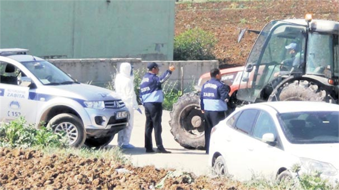 Yumurtada `grip` çıktı organik tavuk alarmda