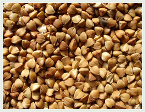 Karabuğday Gelecek Vadediyor