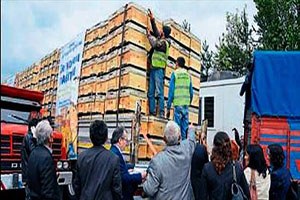 Ankara, arıcılığın başkenti oluyor