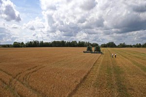 Rusya`dan Tarım Yatırımı Yapacaklara 5 Yıl Ücretsiz Arazi