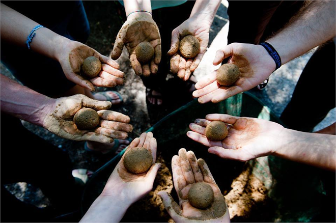 Doğaya Bir Armağan : Tohum Topları