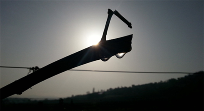 Asmaların Gözyaşları