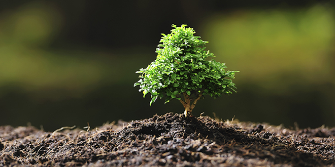 2015 Toprağın Yılı