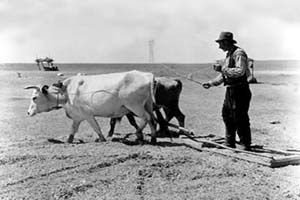 Çiftçiler Geleneksel Tarım Aletlerinden Vazgeçmiyor