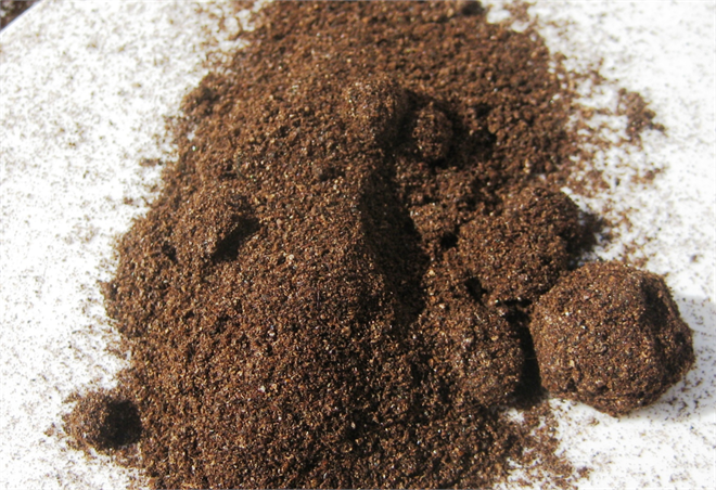 Mucize Gübre : Yarasa Gübresi (Bat Guano)