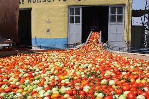 İnegöl`den Hollanda`ya 600 Ton Salça İhraç Edilecek