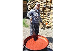 Kış Hazırlığı Bu Yıl Erken Başladı