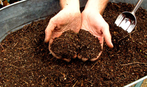 Çöpten Kompost Yapımı