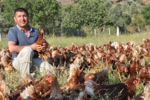 Özgür Tavuklar`ın Yumurtasını `Gagak` Markasıyla Sofraya Taşıdı