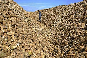 `Şeker stokları talebi karşılar`