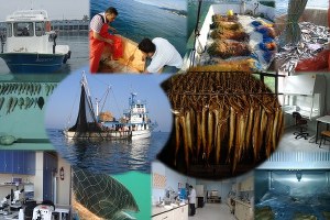 Türkiye`nin Balık Stokları `Tükeniyor`