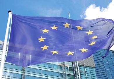 Avrupa`da Salmonella Endişesi