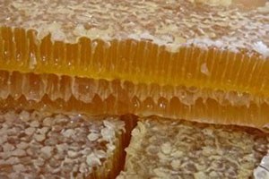 Ballar, Hijyenik Ortamda Teste Gönderilip Dolumu Gerçekleştiriliyor