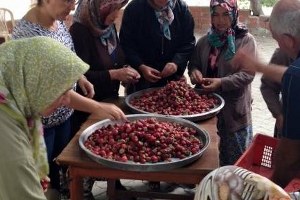 Burhaniye`de Kırtıklı Kadınlar Organik Reçel Yapımını Öğrendi