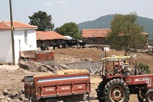 Edirne`de `Şarbon` Karantinası