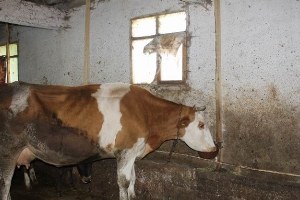 Ekonomiye 1 Milyon Liralık Katkı