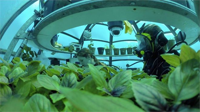 Su Altında Alternatif Bahçe Tarımı