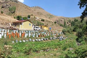 Oltu`da Bal Sezonu Başlıyor