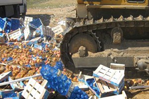 Rusya Halkı Ambargolu Ürünlerin İmhasına Karşı