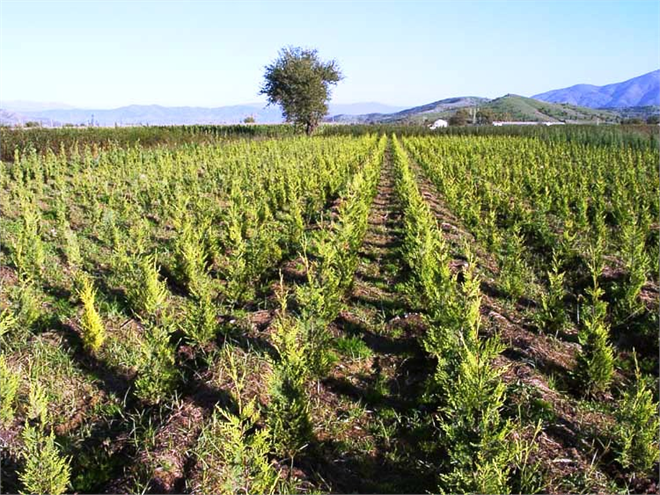 Başvuru İçin Son Gün 31 Ağustos