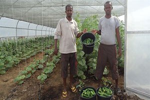 Somali topraklarında Türkiye bereketi