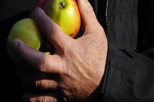 AB`den `Tarım Ambargosuna` Karşı Koruma