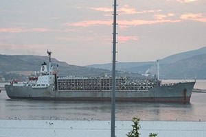 Uruguay`dan ithal besilik dana