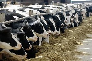 Veteriner Kontrollü Aktarmada AB`ye Uyum 1 Yıl Sonra