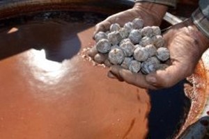 Andız Pekmezi Köylülerin Geçim Kaynağı Oldu