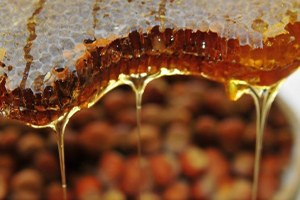 Yağışlar Bal Üretimini Yüzde 80 Düşürdü