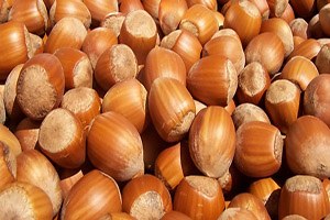 Kalite İçin `Fındığınızı Kurutun` Önerisi