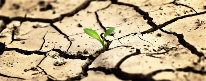 Türkiye Yarı Tropik İklime Hazır mı?