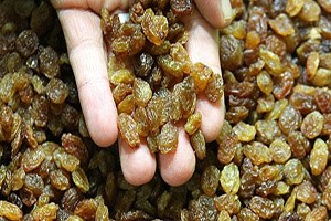 Kuru üzüm fiyatı iki katına çıktı