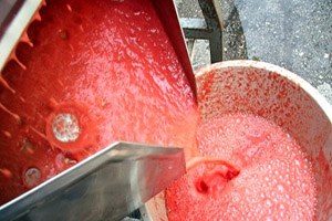 Bursa`da Sokak Aralarında Salça Yaptılar