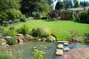 Peyzaj Mimarları da Tohumluk Kontrolörü Olabilecek