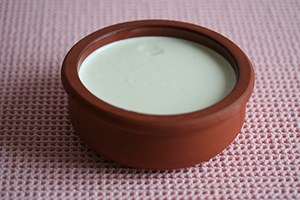 Türkülerle ünlenen Silifke yoğurdu dünyaya açılacak