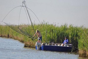 Venedik`te Tarım Turizm Merkezi: Sebze Bahçeleri