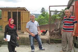 Köy Tavukçuluğunun Yaygınlaştırılması Projesi