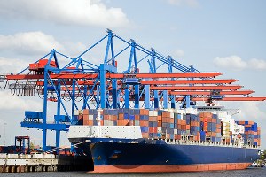 Küresel Gıda Ticaretinde Bir Yasaklama, Bir Açılım!