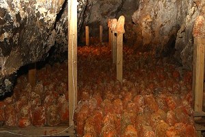 `Türk Rokforu` Lezzetini Mağaradan Alıyor