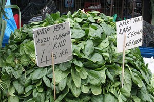 Yeni Mahsul Ispanak Tezgahta 3 TL`den Fiyat Buldu