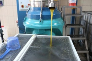 Zeytinyağı Üreticisini Güldürdü