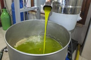 Zeytinyağında Kalite Arttı