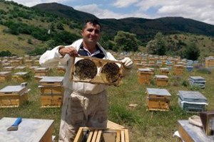 Kelkit`ten Tüm Türkiye`ye Organik Bal