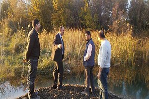 Birecik`te Kerevit Üretilecek