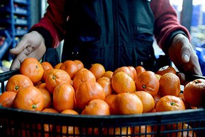 Sebze Meyve İhracatında Rusya`ya Mahkum Değiliz