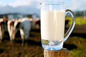 Süt Fiyatlarının Enflasyon Oranında Artırılmalı