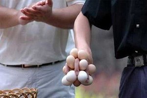 Kosova Tarım Bakanı`na Yumurtalı Protesto