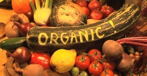 Organik Ürünlere Yoğun Talep