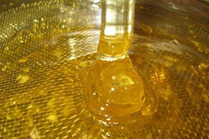 Arıcıların 2023 Hedefi 200 Bin Ton Bal Üretmek